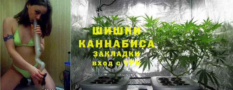 Канабис THC 21%  Весьегонск 